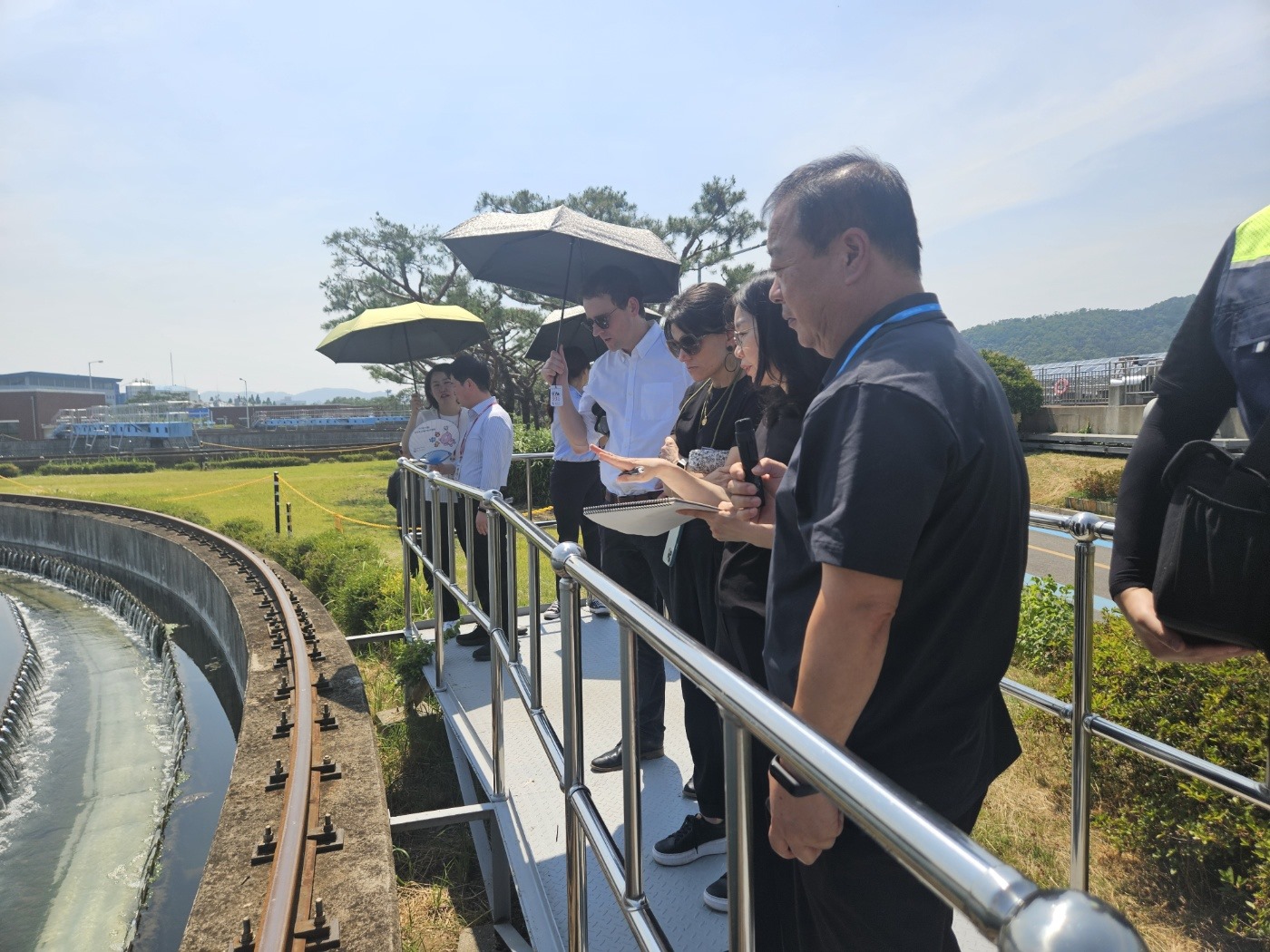 Daegu and Melbourne Tackle Greening, Heat and Climate in Cities Meet Cities
