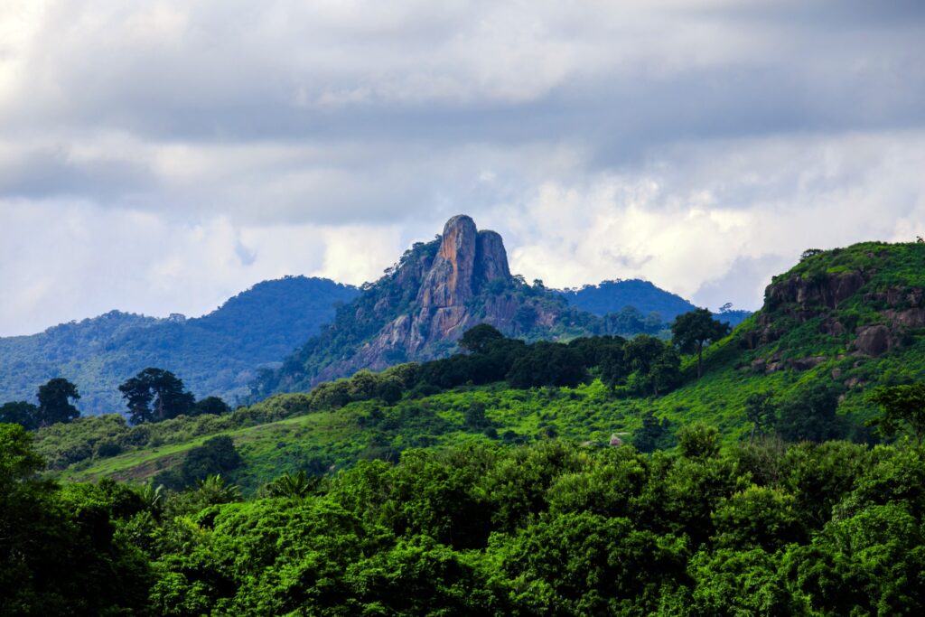 Supporting Forests in the Ivory Coast