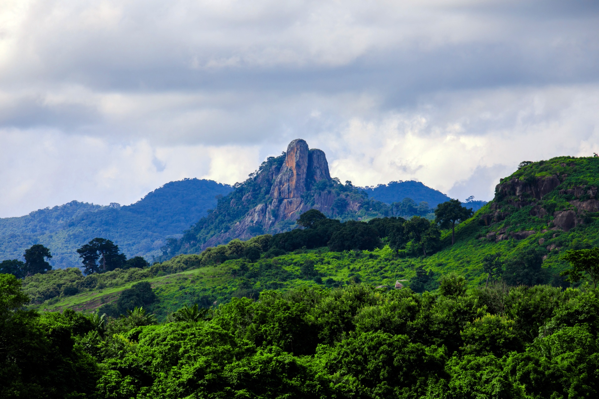 Supporting Forests in the Ivory Coast
